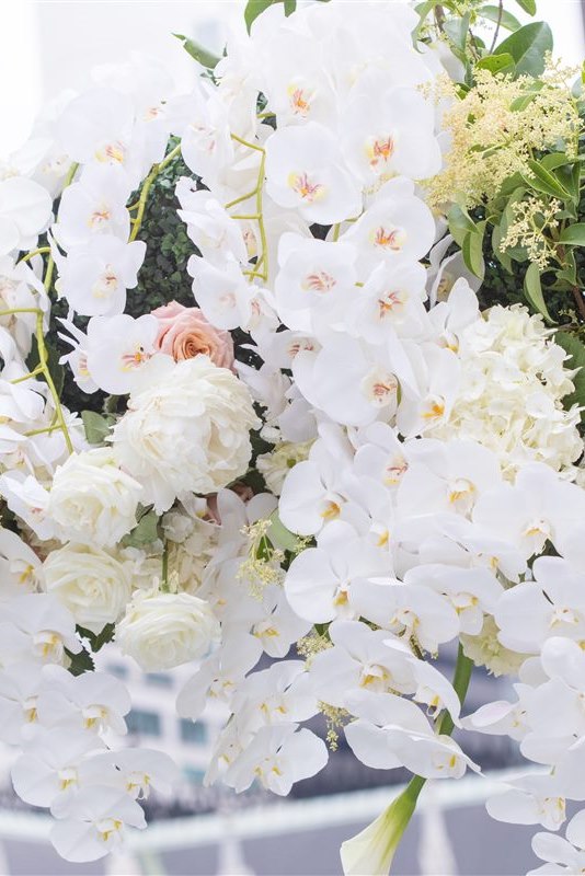 A cascade of white orchids