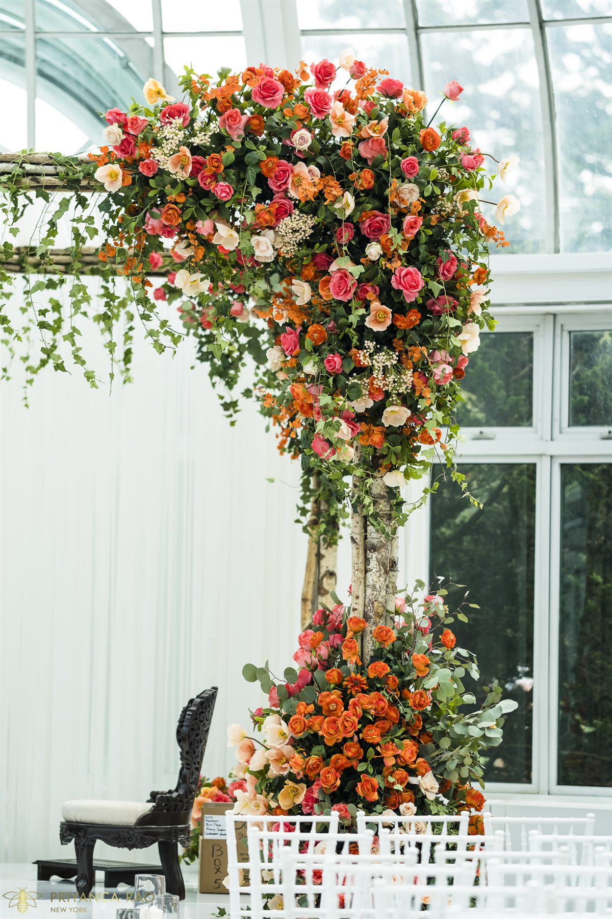 Garden roses climbing the mandap