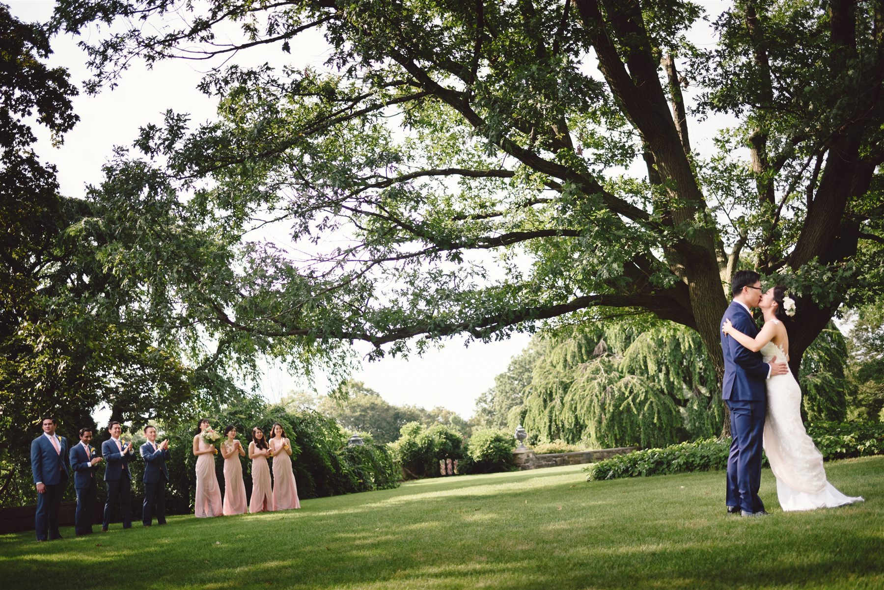 The wedding party under the great tree
