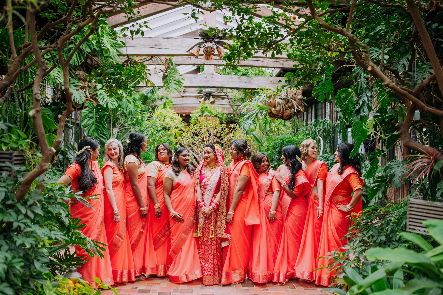 Coral sarees in the conservatory