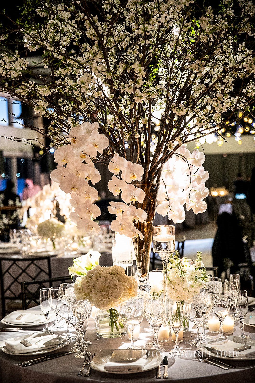 Escort cards hung from the cherry blossoms